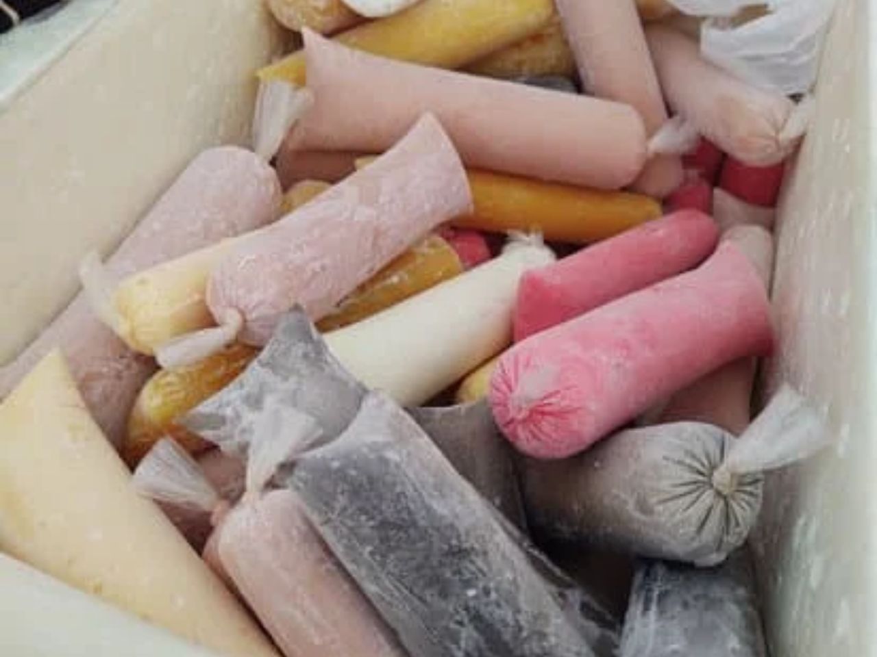 geladinho gourmet (2)